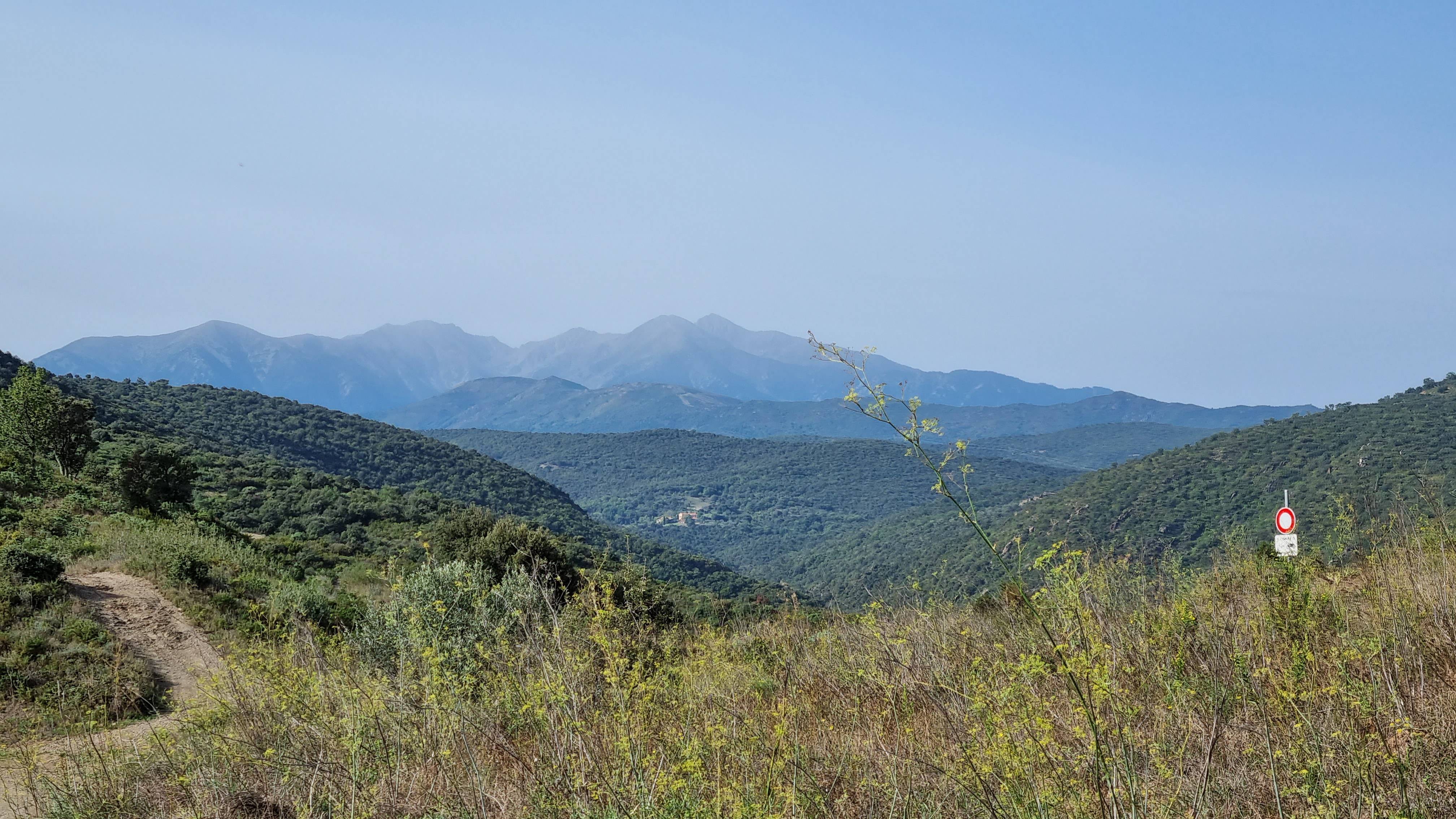 Picture from Area related to Puig de Boc, Puig Tallat, Céret - Prades shoot by Romano Serra