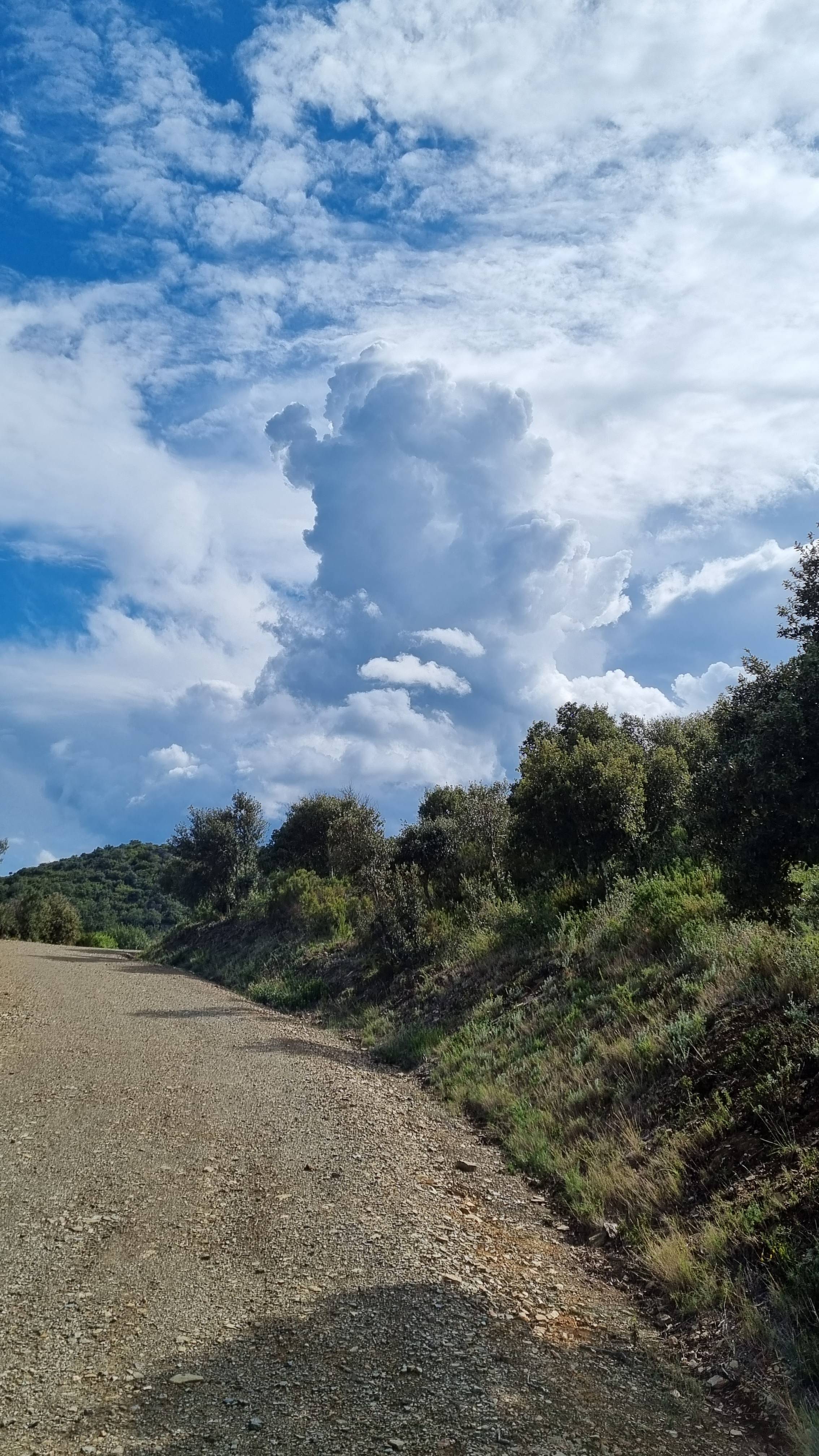 Picture from Area related to Céret - Prades, Puig de Boc, Chemin de Castelnou shoot by Romano Serra